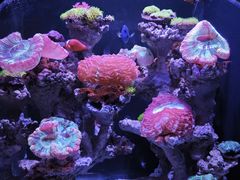 -郑州海洋馆