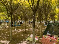 -西青郊野公园