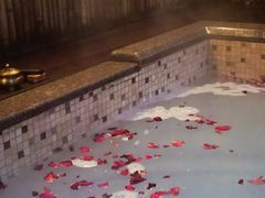 -春晖园度假酒店温泉