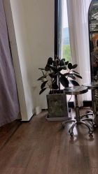-ON STAR SALON