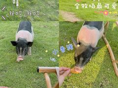 -溪口-滕头旅游景区