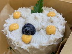 -野草莓自由市场
