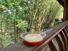 -凤栖山