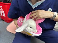 -爱侣宠医·鹦鹉专科·小型哺乳类·异宠专科(灵石路店)