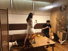 -柴务处·柴犬主题狗咖