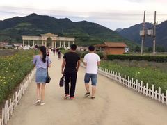 -曲江薰衣草庄园