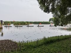 -洪湖生态旅游区