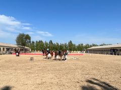 -北京群众马术培训基地