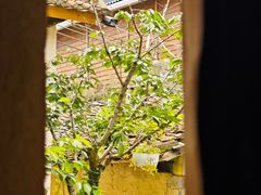 -洛阳白云山景区