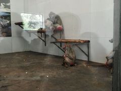 android_upload_pic-西安秦岭野生动物园