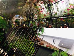 -The Grounds of Alexandria