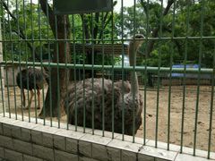 -攀枝花公园