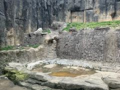 -杭州野生动物世界