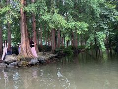 -西湖游船