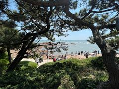 -青岛第二海水浴场
