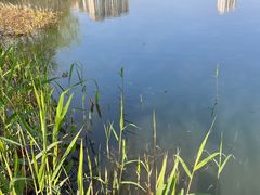 -洋湖国家湿地公园