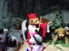 -成都泰迪熊博物馆