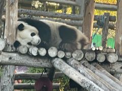 -鄂尔多斯野生动物园