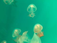 -福州罗源湾海洋世界旅游区