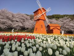 -苏州上方山国家森林公园