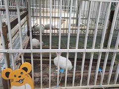 -洪湖家庭农场·团建·露营·会议