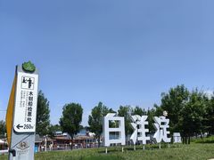 -白洋淀景区