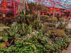 -白家大院·王府宫廷菜(苏州街店)