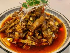 凉拌鸡-院8里·少城记忆老川菜(宽窄巷子店)