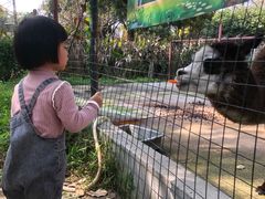 -广东花都香草世界旅游度假区