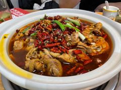 -川大刘肥肠鸡(北国店)