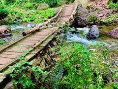 -云岫谷游猎自然风景区