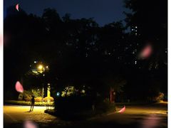 -龙头寺公园