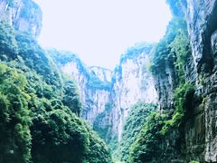 -武隆天坑地缝国家地质公园