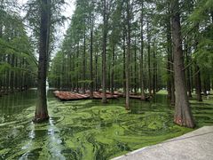-渌洋湖湿地公园