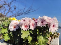 -玄武湖景区-情侣园游乐场