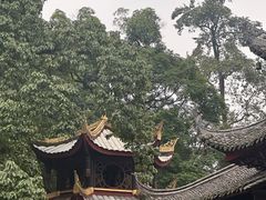 -峨眉山报国寺