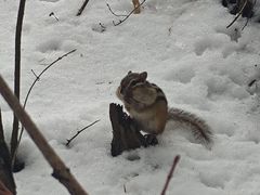 -长白山万达锦华套房酒店