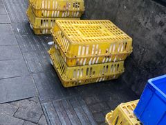 -东吴霸王兔(松青路店)