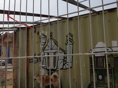 -清风小镇闯关东影视基地