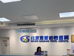 -北京观赏动物医院·24小时大型综合·猫专科·异宠专科