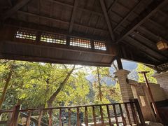 -宁海森林温泉