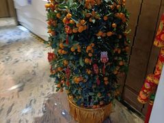 -亚洲国际大酒店·云顶阁旋转自助餐厅