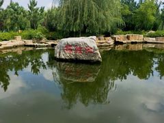 -羊亭河湿地公园