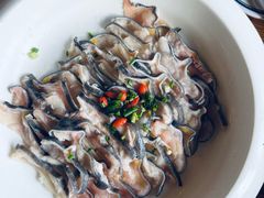 土家三滚娃娃渔-印象鲵宴·张家界地标美食名片(溪布街店)