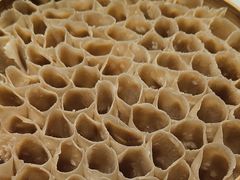 -二分八云雁阁•新晋菜大同味(长治路店)