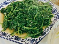 田园时蔬-呼吸森林·生态农庄农家乐私房菜