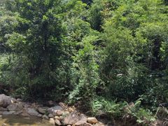 -广州白江湖森林公园