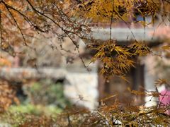 -灵隐飞来峰景区