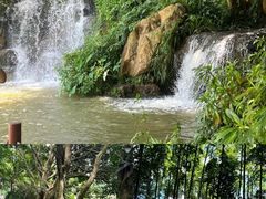 -广州市帽峰山景区