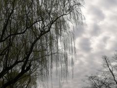 -同里国家湿地公园
